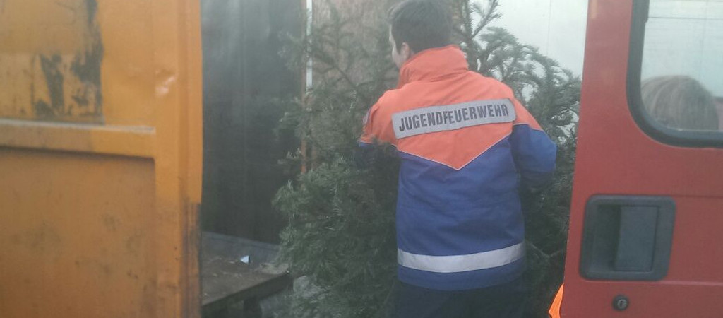 Ausladen der Bäume _3